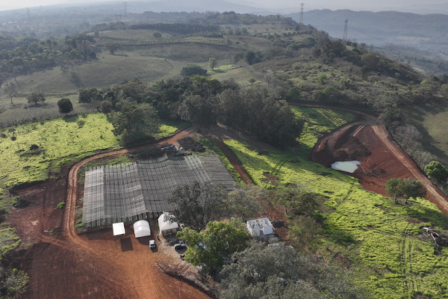 PART 2: SBTi V2 Is Here. So Why Are Businesses Responding So Differently?