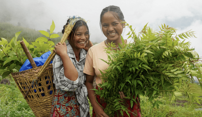 Community development