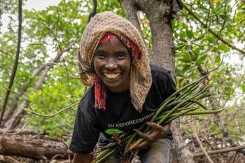 Community nursery workers