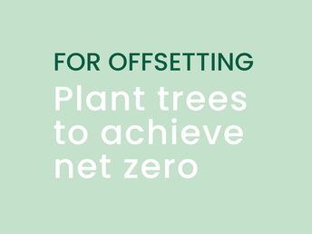 Carbon offsetting