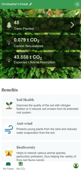 Tree experience screen