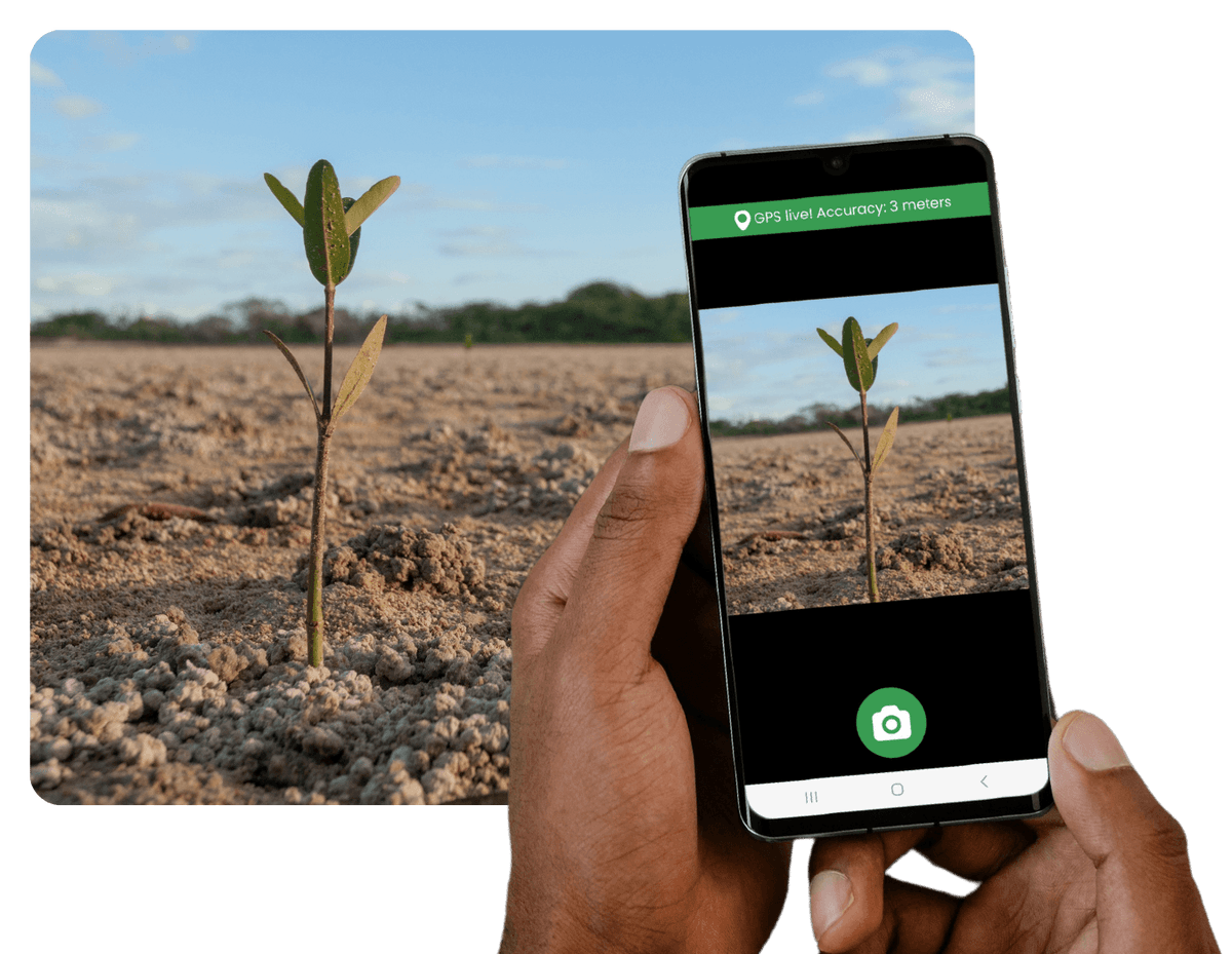 Reforestation Partner Data Collection